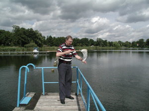 Heiligensee Plankton
