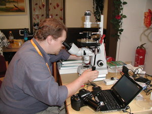 Plankton mikroskopieren