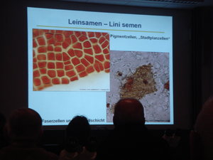 Leinsamen