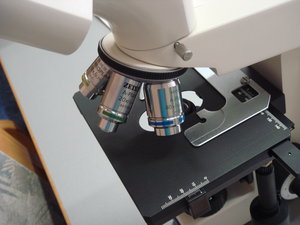 Mikroskop-Ausstattung auf der Mikroskopierwoche