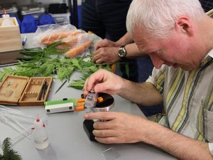 Schnitt durch Pflazenstengel mit Mikrotom
