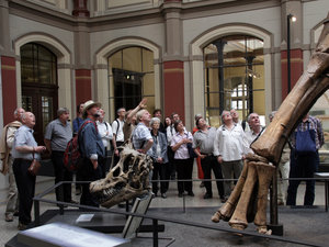 Mikroskopiergruppe im Naturkundemuseum