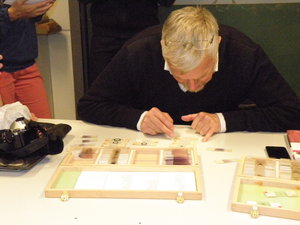 Sammlung von Bakterien-Präparaten