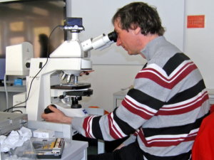 Helgoland Mikroskopieren