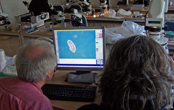Arbeit am Zeiss-Axiovert mit Computer gesteuerter Dokumentationseinrichtung 